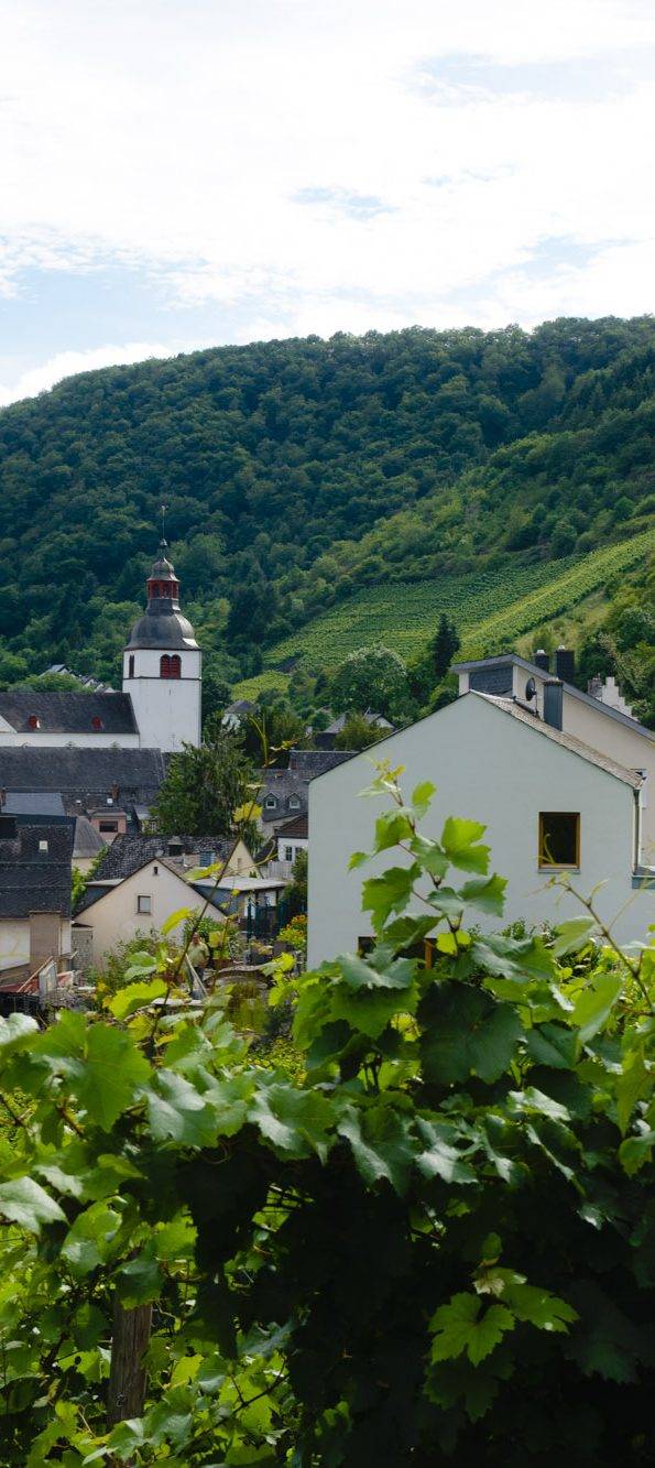 Treis Karden (1 von 1) Things To Do
